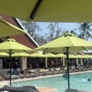 위니메드 이미지