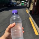 부린이 의 임장후기