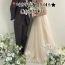 더리본리안스튜디오점주 | 리안마리 촬영드레스 | 튤드레스 스튜디오 촬영 후기