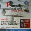 피그마리온수학