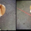 큐브코리아 이미지