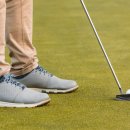 주식회사더골프 이미지