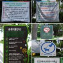 은데미공원 이미지