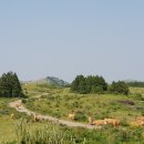황소야 - 남동구 문화로89번길 43 | 황소야