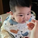 우리동네온누리약국 | 베베쿡 추천인 정기식 끝⭐️중기이유식 후기⭐️yulll51⭐️