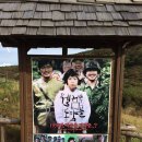 윤기목장 이미지