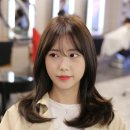 여우스타일 이미지