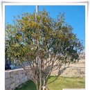 법정스님마을도서관 이미지