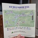 숲속의하루 | 무주 향로산자연휴양림 숲속의집 단풍나무에서의 하루｜조용한 힐링 여행 추천