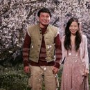 너는내운명 이미지