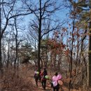 대전둘레산길(1구간) 이미지