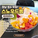 과일이 무려 10가지! 향남 카페 스노우드롭 생과일빙수 후기
