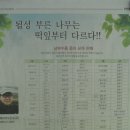 (주)그린메이커 네이버블로그