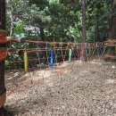 유아동네숲터 이미지