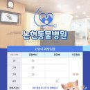 논현 켄넬 이미지