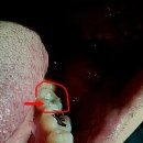 석치과의원 이미지