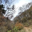 선의농원 이미지