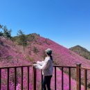 제2금강산 등산로입구 | 창원 천주산 진달래 축제 안 보고 등산하면 후회하는 포토존 주차정보 등산코스 정리