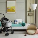 마이펫 룸 이미지