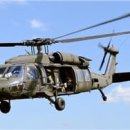 호크