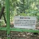 서리풀공원 중앙일보
