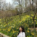 수선화사주카페