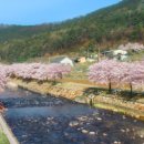 소나무풍경펜션 이미지