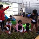 상권농장 이미지