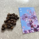 와이컴퍼니 이미지