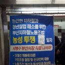 부산시교육청노조 이미지