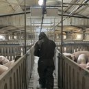 민선농장 이미지