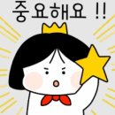 새로디자인