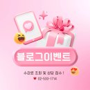 올댓뷰티아카데미 에서 네일국가자격증 원패스한 후기