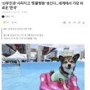 뉴욕타임즈 "세계에서 가장 외로운 나라 한국" 이미지