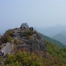 내장산 흑염소농장 이미지