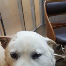 진숙농장 이미지