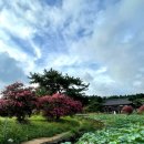 탐라민박 | 제주도 유명 사찰 10곳