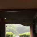 제주두리 이미지