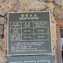 한경카서비스 | 제주도 도민 할인 정리｜알면 무조건 이득! 제주 도민이 자주 쓰는 할인 총정리