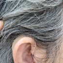 군산보청기, 👵 80대 어머니의 선택 – 스타키 제네시스 AI, TV도 교회도 또렷하게