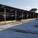 평사농장 이미지