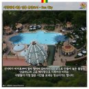 알펜시아임대