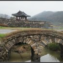 쌍운교 Daum카페