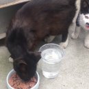 웰니스동물병원(고잔점) 이미지