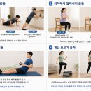 노년기 근력운동 4종세트 ‘하루 4분’만 해도 효과 [노화설계] 이미지