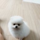 빗과가위소리 이미지