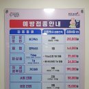 [26.6.19.금] 🏥한국건강관리협회 🤰💉임산부 백일해 예방접종 후기