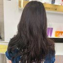 로이드밤 유성점
