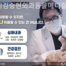 24시김승현외과동물메디컬센터 이미지