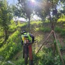 노태공원 화장실 이미지